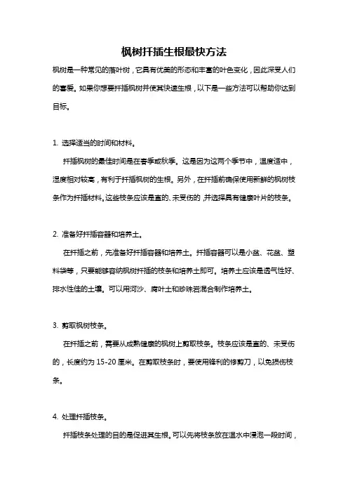 枫树扦插生根最快方法