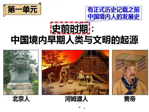 《中国早期人类的代表—北京人》PPT