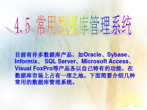 常用的数据库管理系统