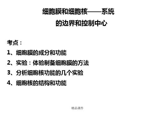 一轮复习细胞膜和细胞核