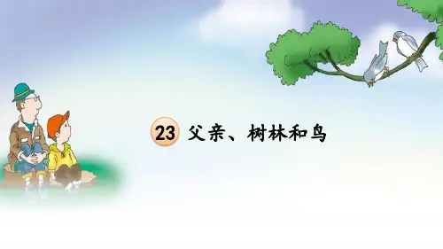 三年级语文上册第23课《父亲、树林和鸟》PPT课件