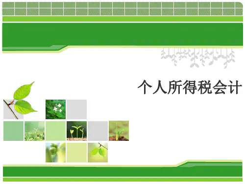 税务会计课件：个人所得税会计