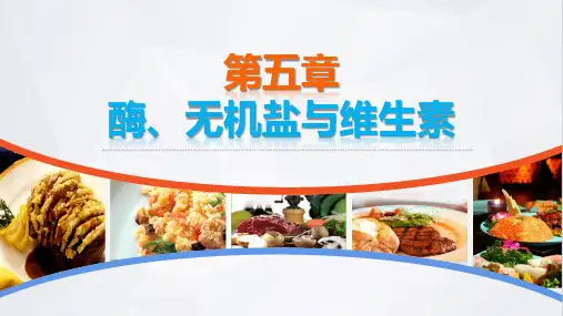 电子课件烹饪化学第五章酶无机盐与维生素