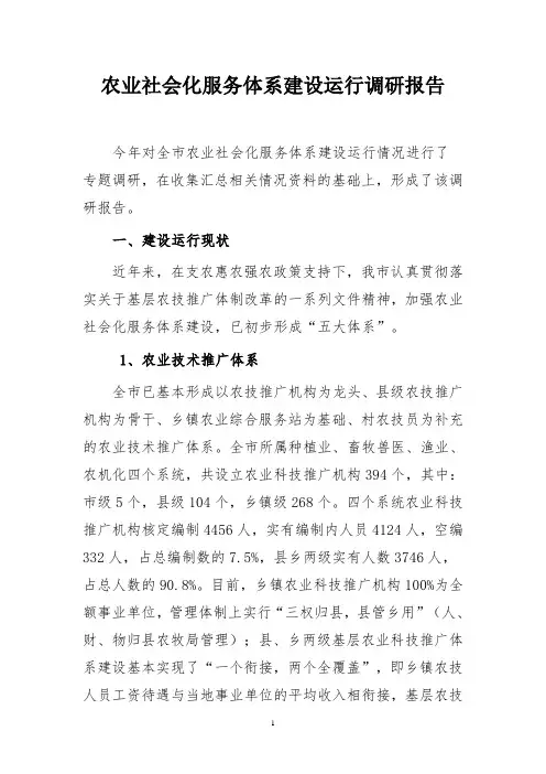 农业社会化服务体系建设运行调研报告