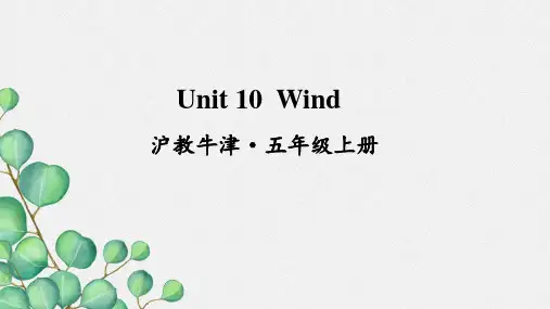 新沪教牛津版五上Unit 10 Wind课件PPT