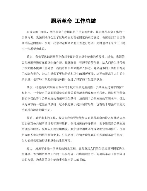 厕所革命 工作总结