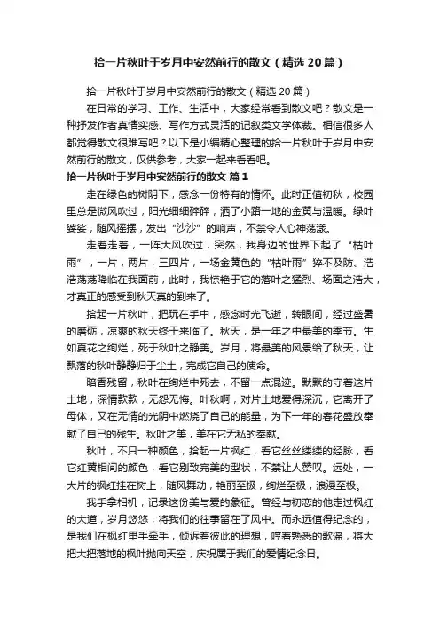 拾一片秋叶于岁月中安然前行的散文（精选20篇）