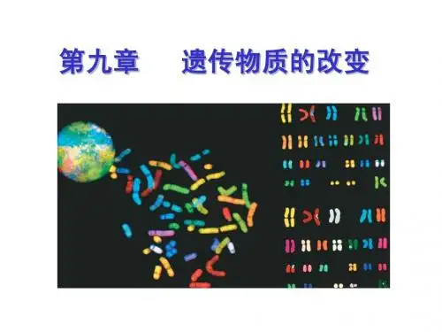 10遗传   第九章 染色体畸变