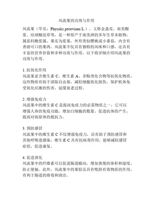 风流果的功效与作用