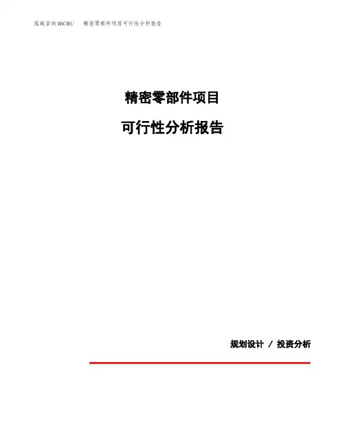 精密零部件项目可行性分析报告(模板参考范文)