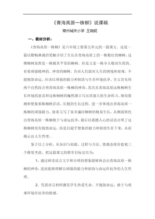 青海高原一株柳说课