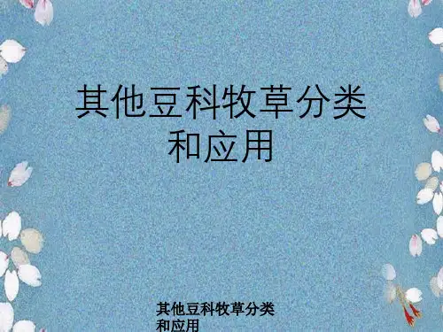 其他豆科牧草分类及应用