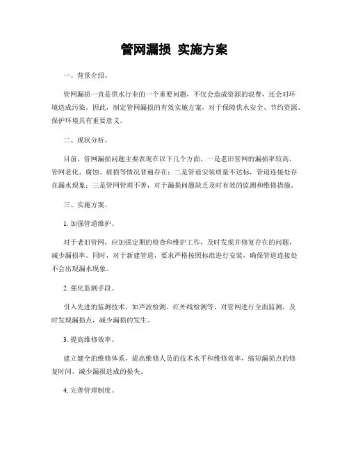 管网漏损 实施方案