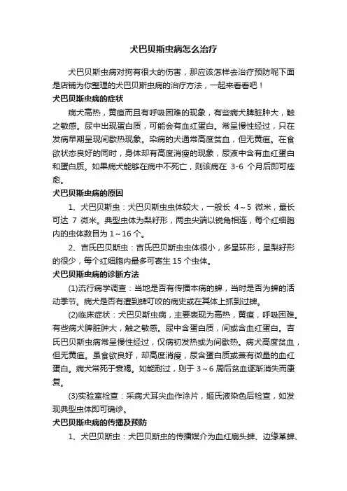 犬巴贝斯虫病怎么治疗