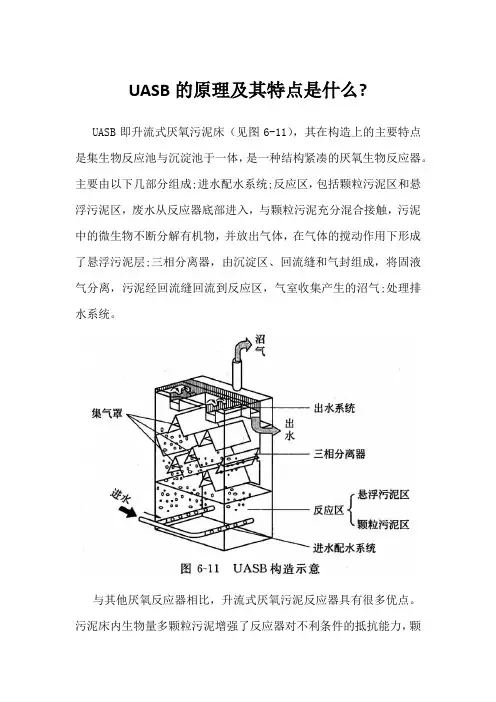 UASB的原理及其特点是什么