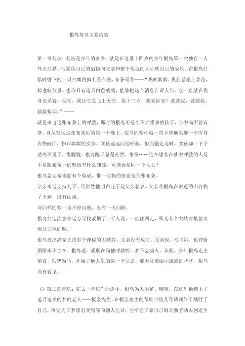 根鸟每章主要内容