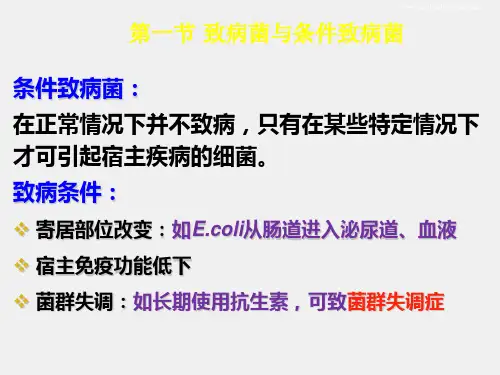 医学免疫学与微生物学课件05第18章细菌的致病性与感染