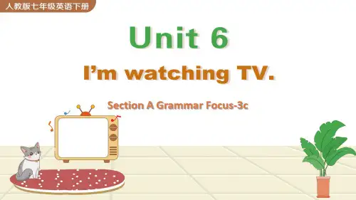 人教版七年级英语下册教学课件《Unit-6-Section-A-Grammar-Focus-3c》