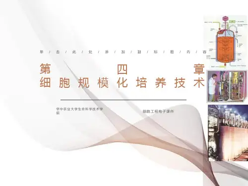 植物细胞工程课件第四章细胞规模化培养技术