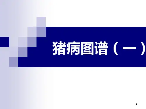 猪病彩色图谱(一)PPT课件