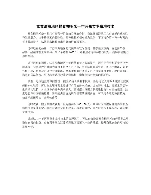 江苏沿海地区鲜食糯玉米一年两熟节本栽培技术