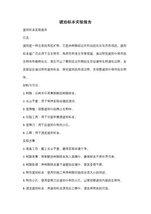 琥珀标本实验报告