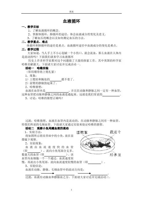 血液循环(教案)