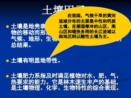 土壤因子对树木的影响