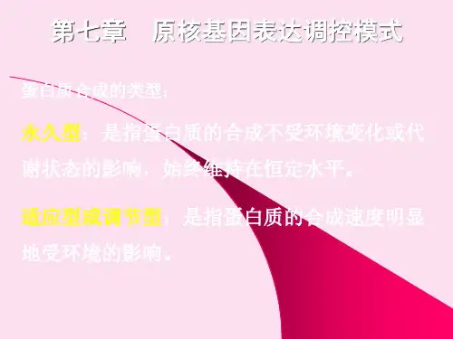 分子生物学第七章原核生物基因表达调控