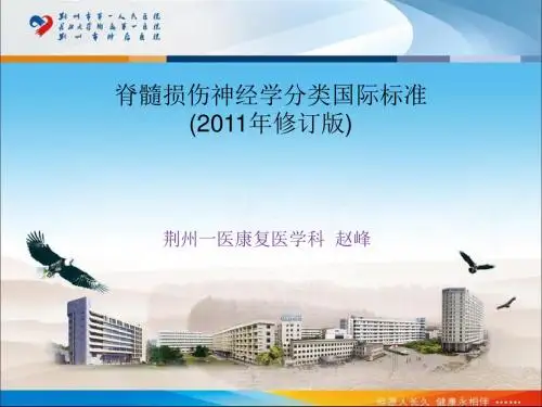 脊髓损伤神经学分类国际标准