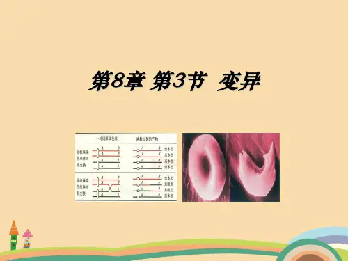 高二生物变异PPT优秀课件