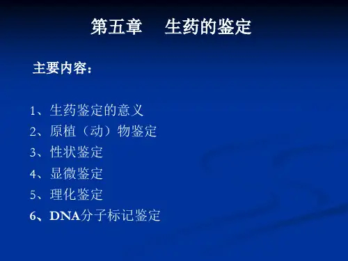 生药的鉴定