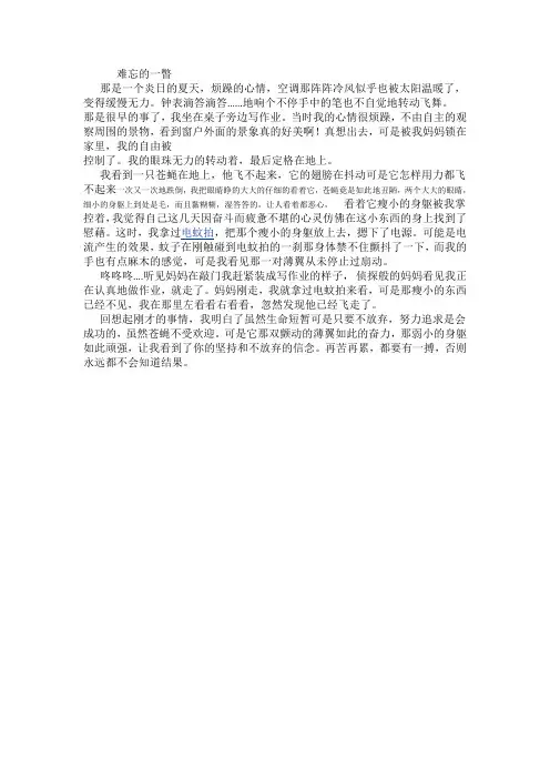 难忘的一瞥