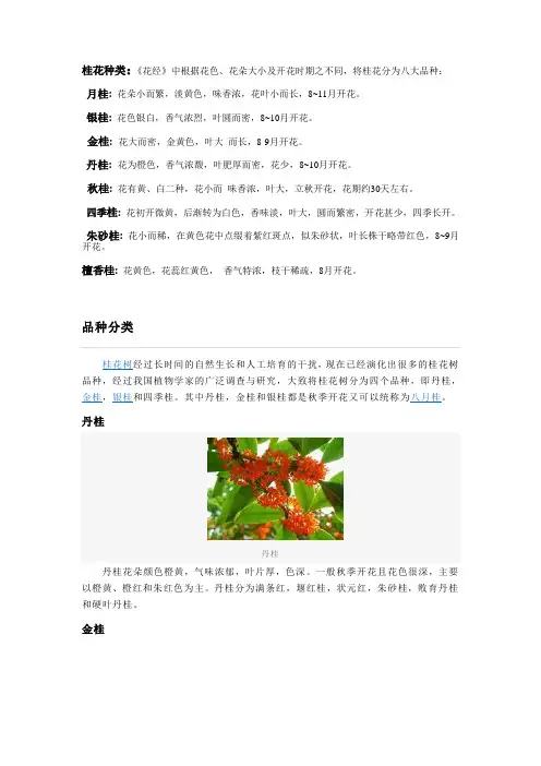 桂花分类