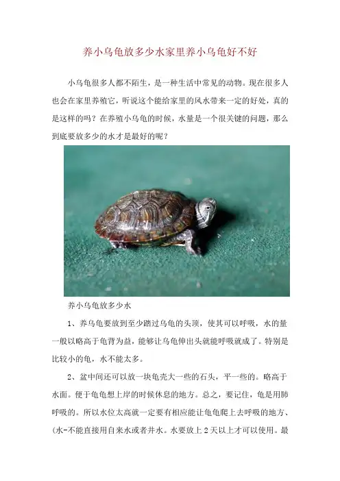 养小乌龟放多少水 家里养小乌龟好不好
