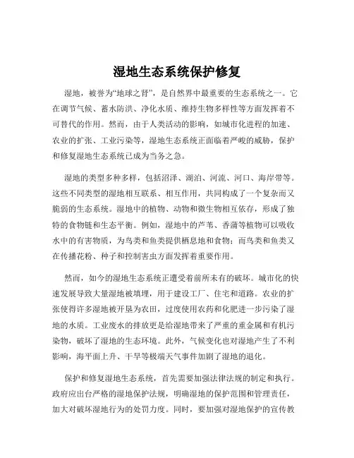 湿地生态系统保护修复