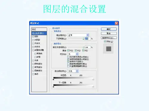 Photoshop教程图层样式课件
