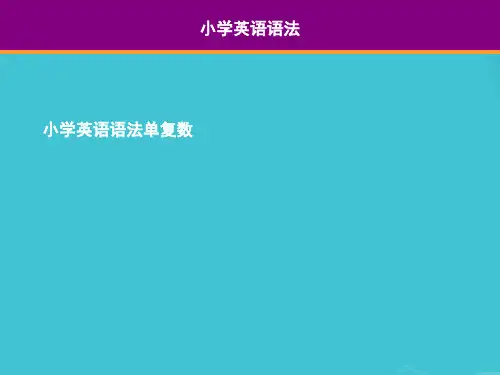 小学英语语法单复数