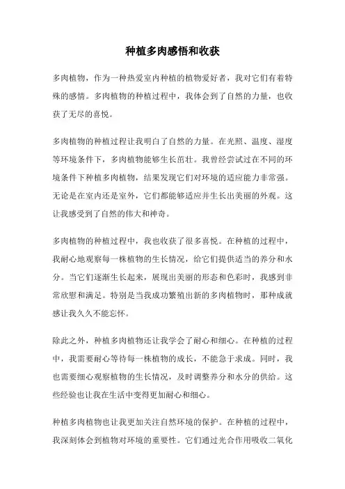种植多肉感悟和收获