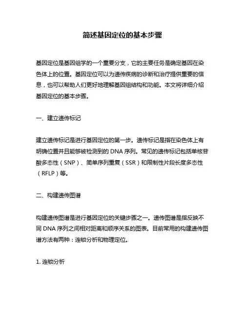 简述基因定位的基本步骤