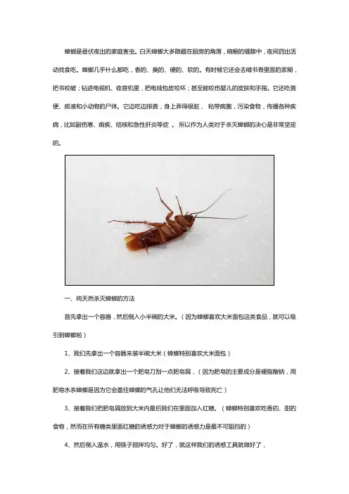 彻底消灭蟑螂的几种方法汇总