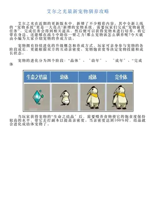 艾尔之光最新宠物驯养攻略