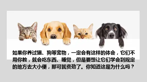 八年级生物上册5.《动物的先天性行为和学习行为》课件