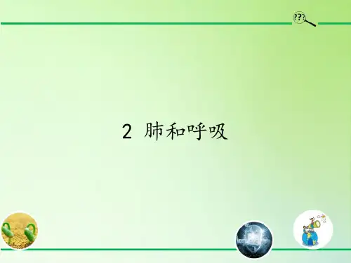 五年级科学上册教学课件-4.2 肺和呼吸2-苏教版