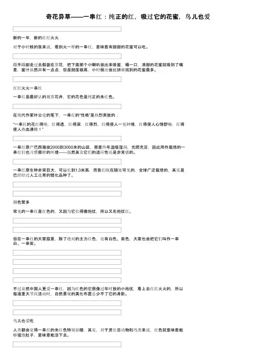 奇花异草——一串红：纯正的红，吸过它的花蜜，鸟儿也爱