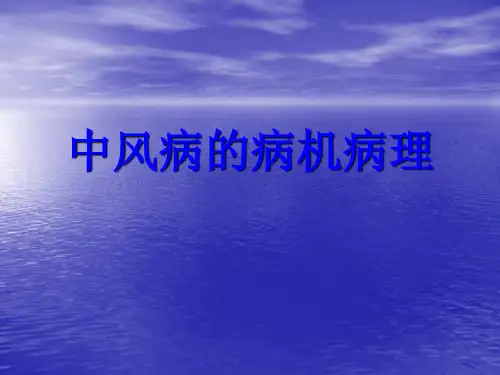 中风病的病机病理
