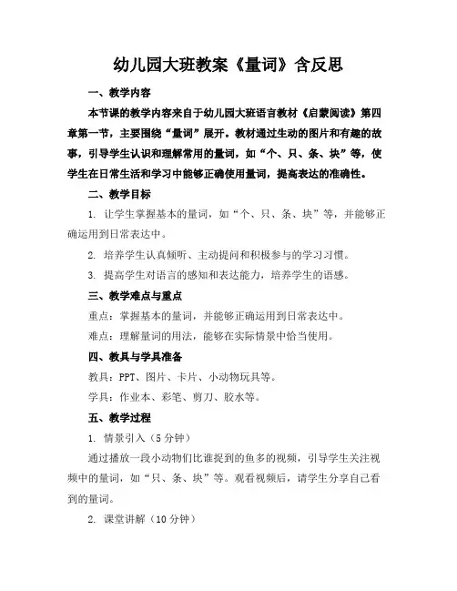 幼儿园大班教案《量词》含反思