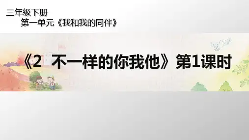 《不一样的你我他》PPT人教部编版道德与法治课件1