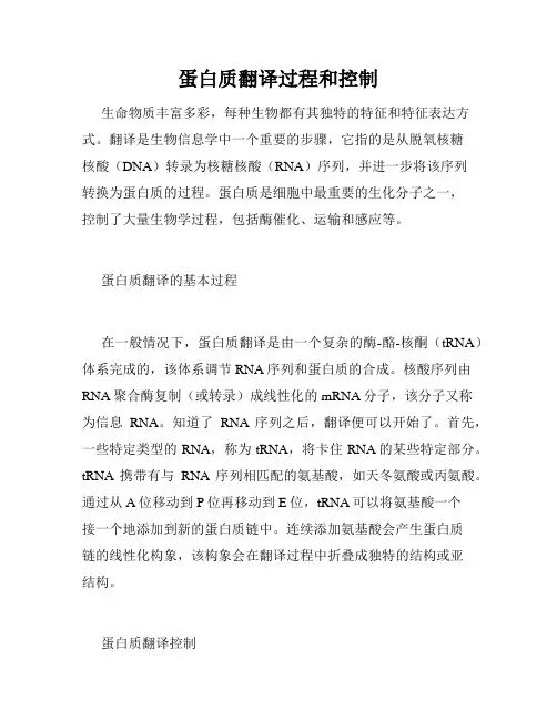 蛋白质翻译过程和控制