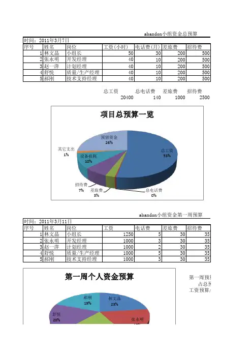 软件工程项目预算表 模板